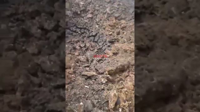 Воронка которая осталась от крылатой ракеты под Белгородом 01.04.2022 смотреть онлайн
