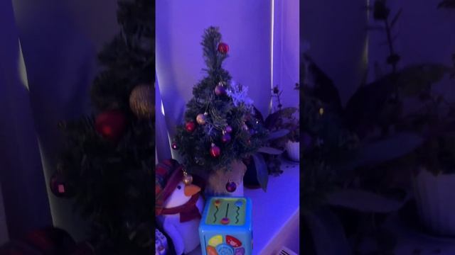 САМАЯ КРУТАЯ RGB КОМНАТА В МИРЕ‼️‼️‼️?‼️‼️‼️ смотреть онлайн