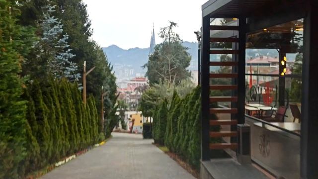 Здесь растет почти весь чай Турции. Ризе. Несъедобные апельсины. Где поесть в Ризе. смотреть онлайн