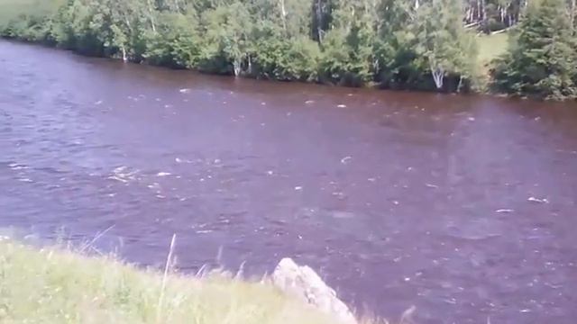 река амазар смотреть онлайн