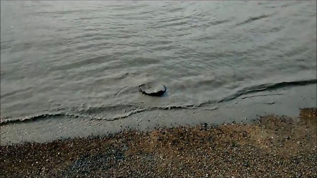 Sonnet 60 (Shakespeare) - arranged by Geoff Salt смотреть онлайн