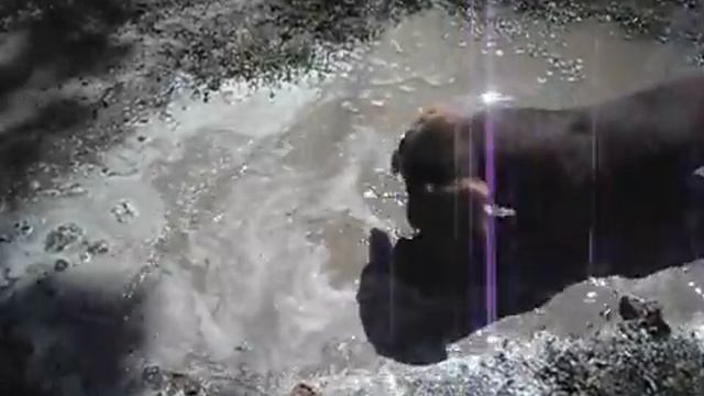 Такса в Луже смотреть онлайн