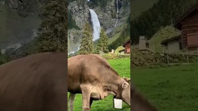 The canton of Obwalden is one of the Swiss cantons, Swiss villages in the heart of pristine nature. смотреть онлайн