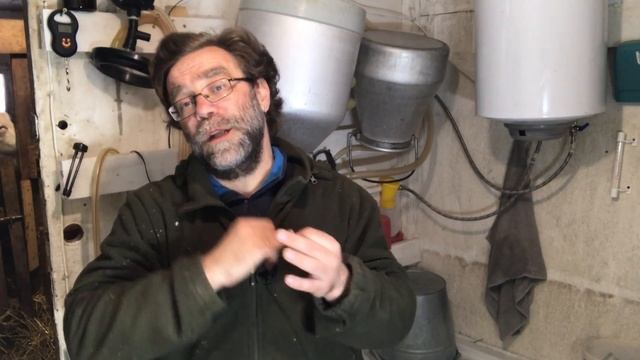 Доильный аппарат для коз и коров - какой доильный аппарат выбрать? смотреть онлайн