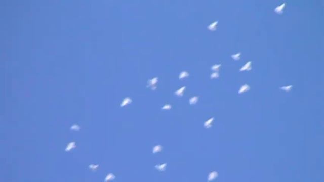 Пермские голуби в небе. смотреть онлайн