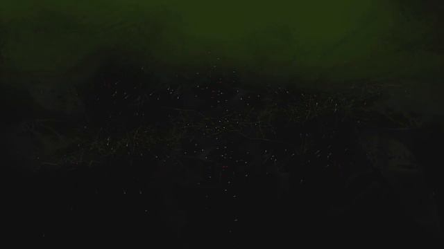 Astropilot - Rhododendron смотреть онлайн