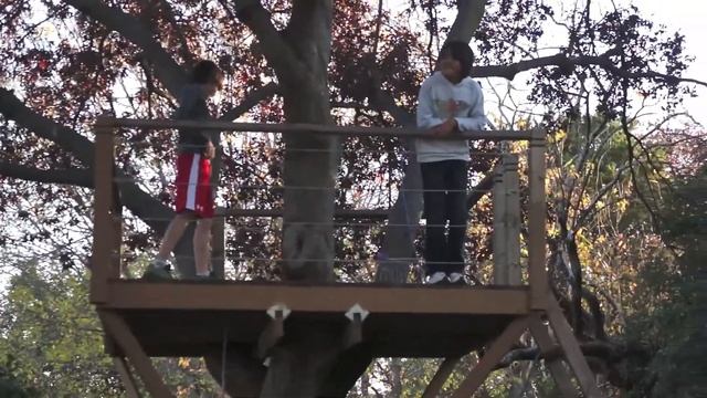 Crazy Treehouse Basketball Trickshots смотреть онлайн
