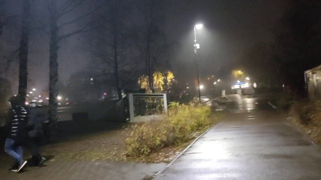 Вечерняя прогулка в парке. Туман. Удивительна осень в этом году/Amazing autumn this year смотреть онлайн