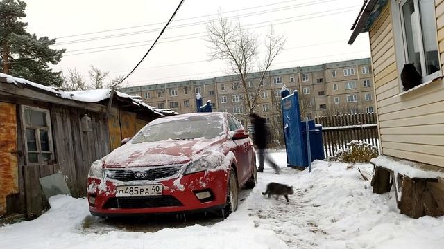 Лопата из Добро цена стоит ли покупать why not why not #Доброцен смотреть онлайн