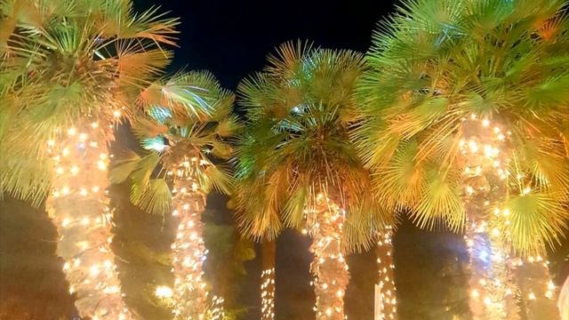 Новый год Сочи смотреть онлайн