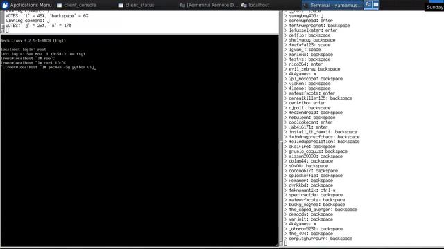Twitch Installs Arch Linux #2 | Part 31 | pacman -Sy python vim смотреть онлайн
