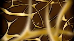 Город бактерий