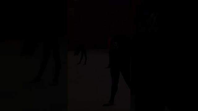 РАЗМИНКА ГИМНАСТОК ?| Художественная гимнастика | Разминка в ШКОЛЕ ДЕРЮГИНЫХ  #rhythmicgymnastic