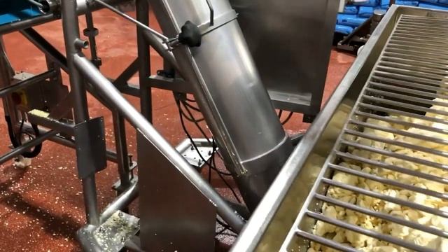 Complete Cheddar Cheese Plant смотреть онлайн