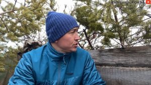 ОХОТА на ГУСЯ весна 2023. Манок на гуменника GOLDEN ROAR & PFG-15