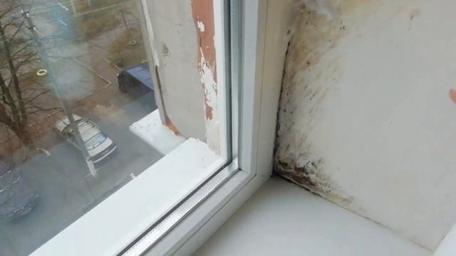 КАК ИЗБАВИТЬСЯ ОТ ГРИБКА,ПЛЕСЕНИ*КАК УБРАТЬ ГРИБОК НАВСЕГДА*СУПЕРСРЕДСТВО*ТЕСТИРУЕМ*ДЖЕРЕЛИЯ смотреть онлайн