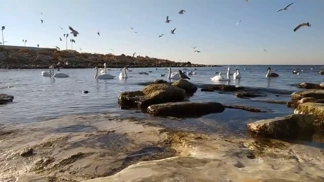 A poem about Paradise / Жаннат туралы өлең / Стихотворение про Рай #Қалиев#өлен#жаннат#дін# смотреть онлайн
