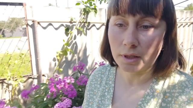 ОБРІЗАЛА ЯЛІВЕЦЬ ТРОЯНДИ ВЕРБУ смотреть онлайн