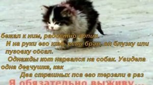 История кота: Кот Урод
??????????