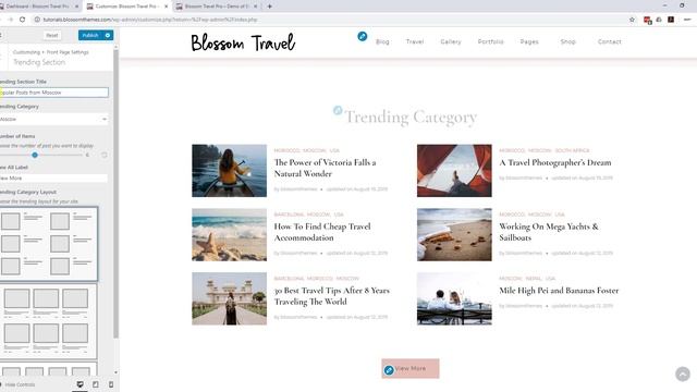 How to configure Trending Category section on homepage | Blossom Travel Pro WordPress Theme смотреть онлайн