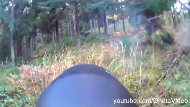 Охота на лося на реву видео онлайн 2012-2013 Moose hunting in Russia. смотреть онлайн