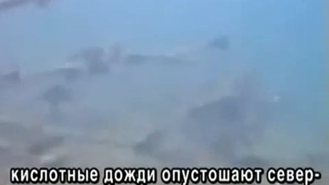 Негативное воздействие навоза сельскохозяйственных животных на окружающую среду смотреть онлайн