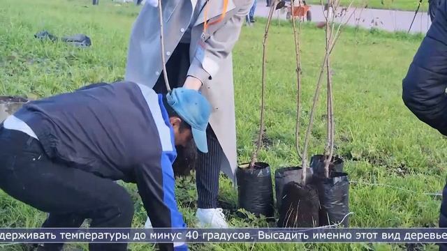 17.10.2023 Сахалин сегодня смотреть онлайн