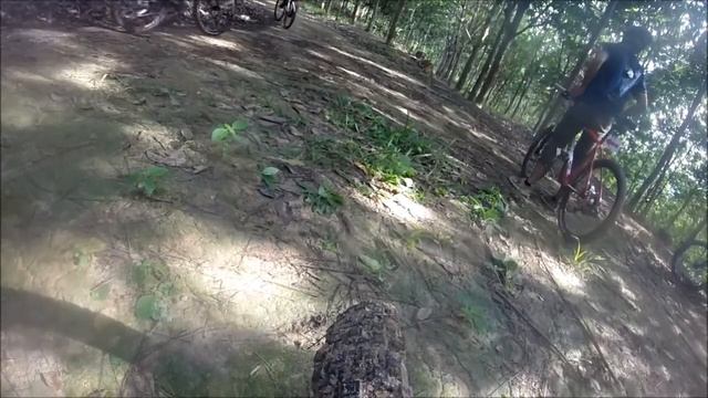 Damn Slope + Crazy Downhill