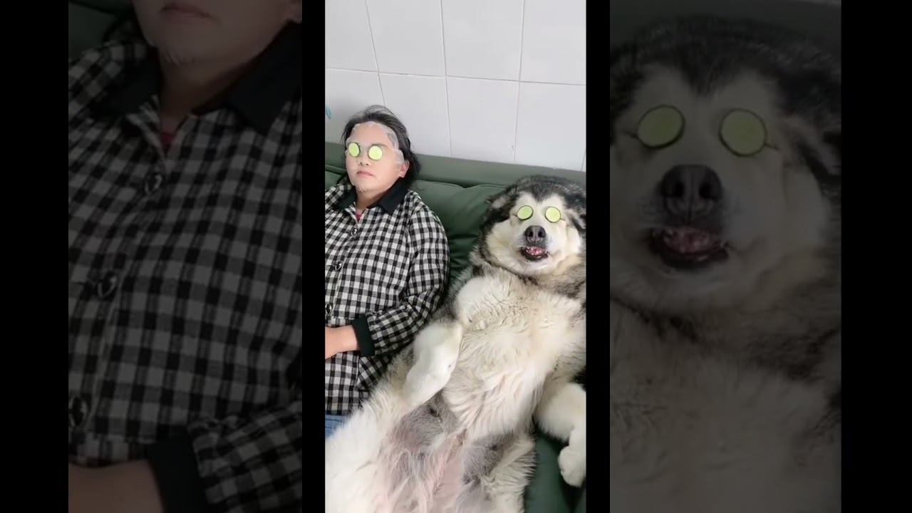 Косметическая маска для женщин ))) смотреть онлайн