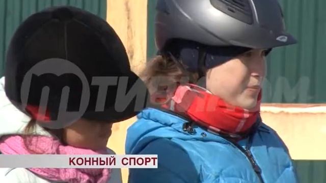 Конный спорт смотреть онлайн