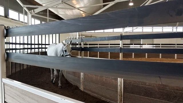 Золотая Лихорадка 2019 смотреть онлайн