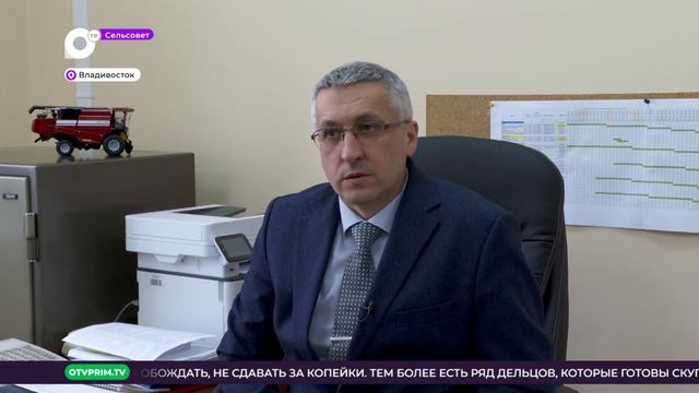 Сельсовет / Спасти кабана / 07.01.23 смотреть онлайн