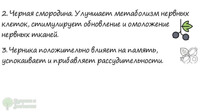 Спокойствие за минуту! Топ-10 продуктов, после которых нервная система как новая смотреть онлайн