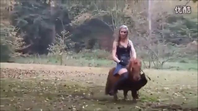 Autumn walk смотреть онлайн