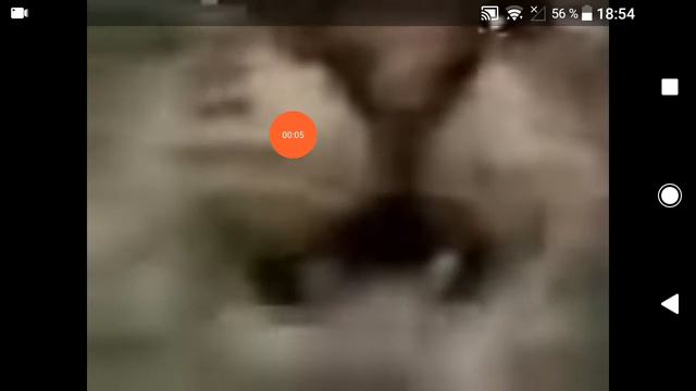 Кит ты маму мав? смотреть онлайн