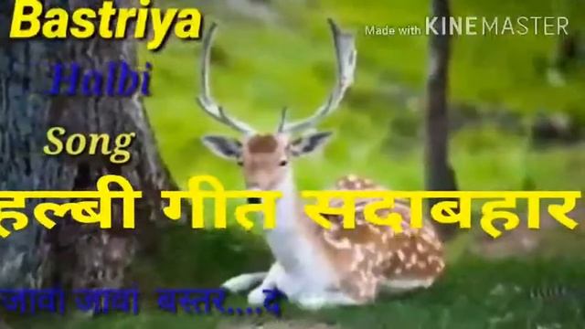 जावा जावा जावा जावा रे दादा-दीदी बस्तर दखूक смотреть онлайн