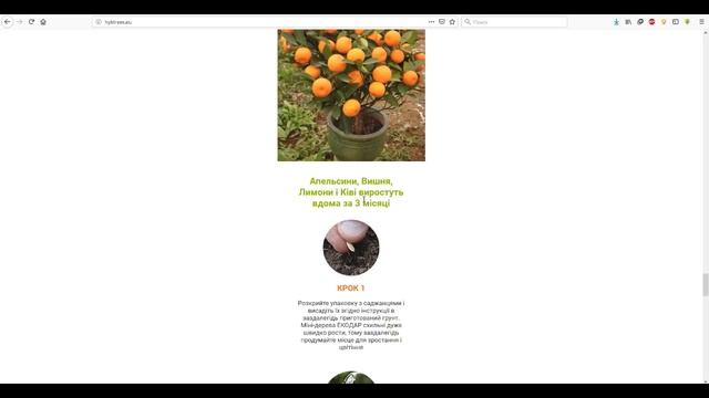 Экодар: мини-деревья - мега-обман!!! Мошенники и лохотронщики смотреть онлайн