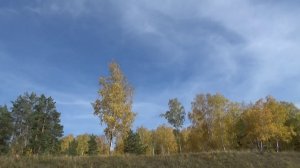 Челябинская золотая осень .Прогулка в  Каштакском бору. Седьмая часть.