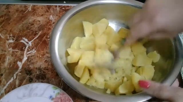 Домашние Животные и Их Уход