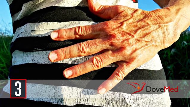 7 Health Benefits Of Leeks смотреть онлайн