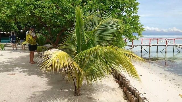 Путешествие на девственный остров (virgin island) - Жизнь на Филиппинах смотреть онлайн