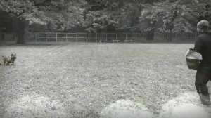 Самый крутой Ка Де Бо