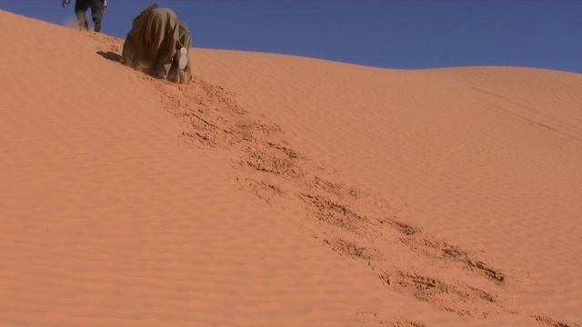 Анекдот из 90-х про пиво смотреть онлайн