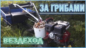 ЗА ГРИБАМИ  НА МОТОБЛОКЕ БРАЙТ-135. Лето,жара,кайф....