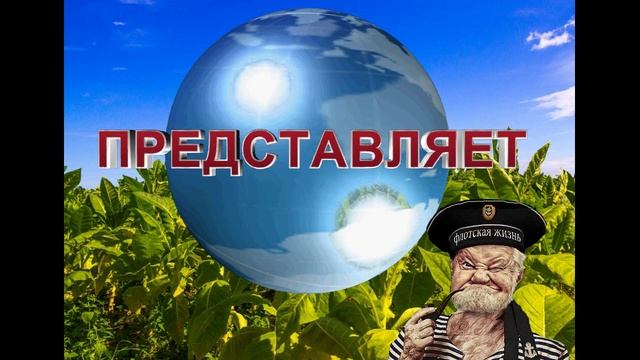 НачЗаставка-2024