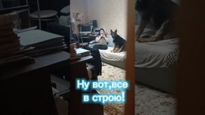 Все здоровы! Ура!