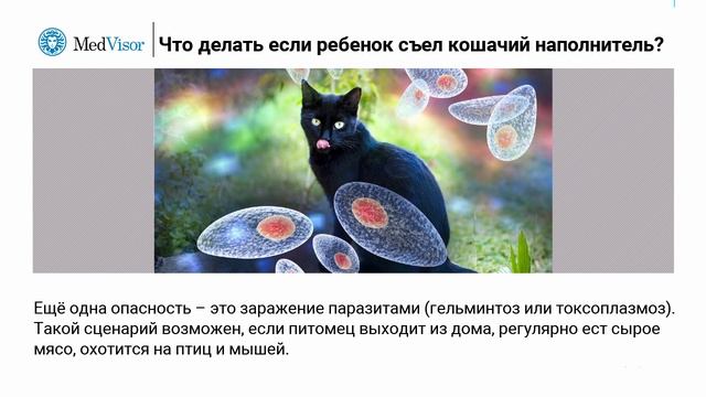 Ребенок проглотил кошачий наполнитель? Без паники! смотреть онлайн