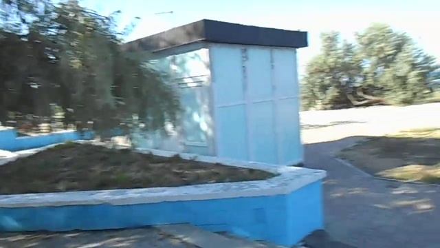 Жигида - огромное дерево на лестнице 5 А мкр, люди бегают смотреть онлайн