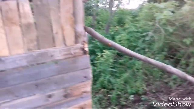 Домик на дереве.Часть 2 смотреть онлайн