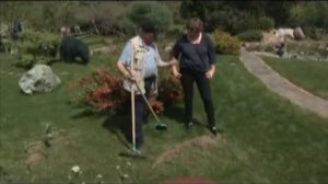 gazony.com — Уход за газоном: вычёсывание и аэрация